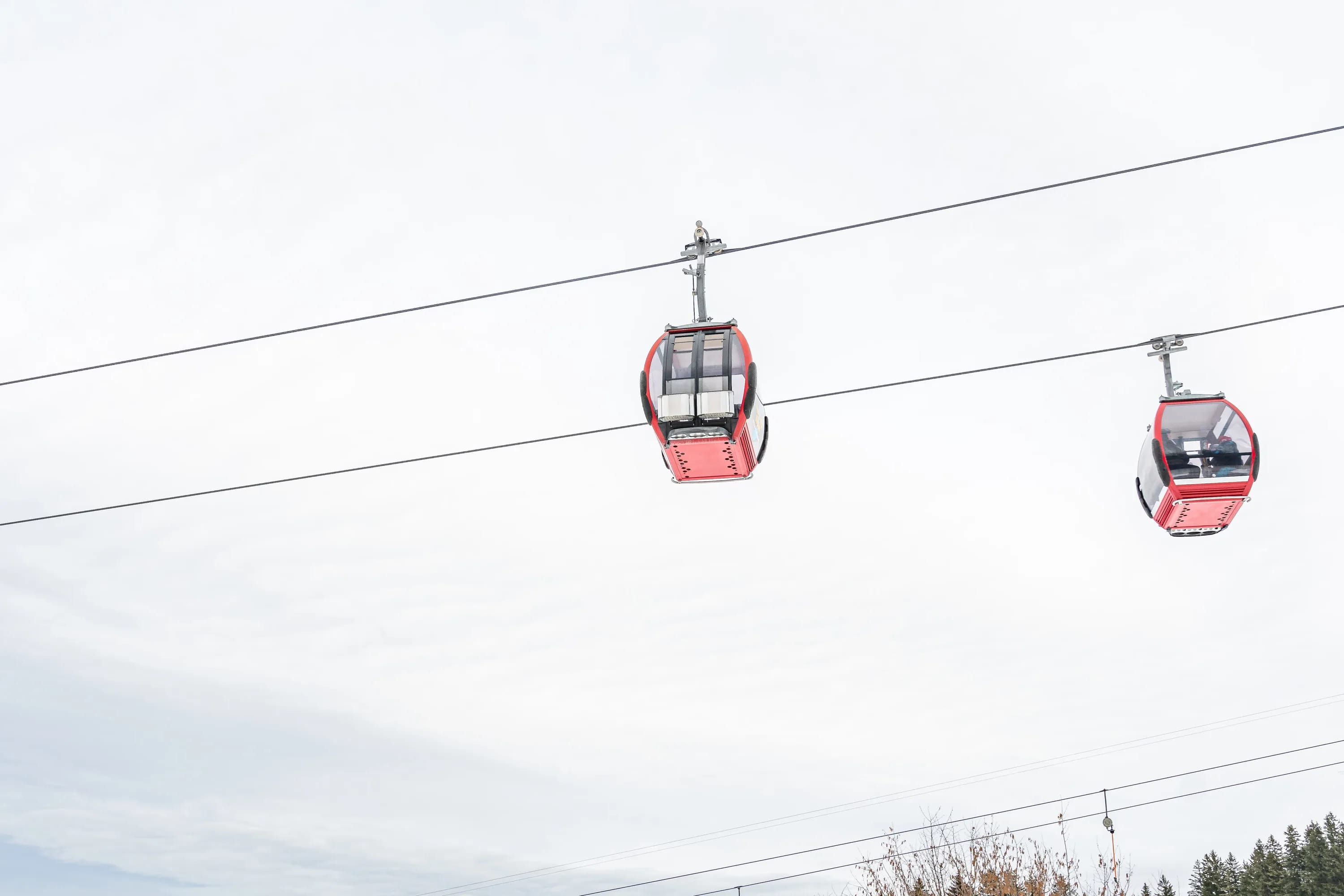 Zwei rote Gondeln der Alpine Coaster hängen an Seilen durch den Himmel.