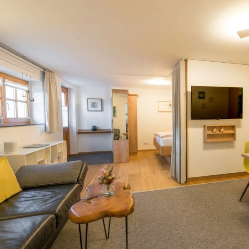 Wohn- und Essbereich mit TV, Trennwand, Schlafbereich im Hintergrund, gelbe Akzentwand und grüne St