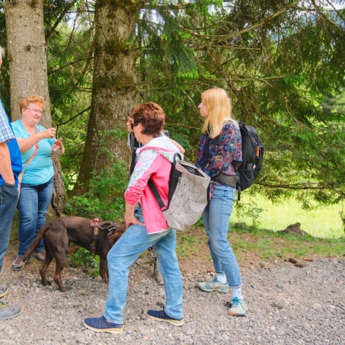 Gruppe Erwachsener im Wald mit Hund beim Gespräch