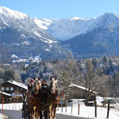 Gruppe in Pferde-Kutsche durch verschneites Bergdorf