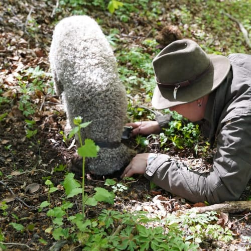 Person im Wald untersucht moosigen Stein-Grabstein, liegt am Boden, Hut auf dem Kopf.