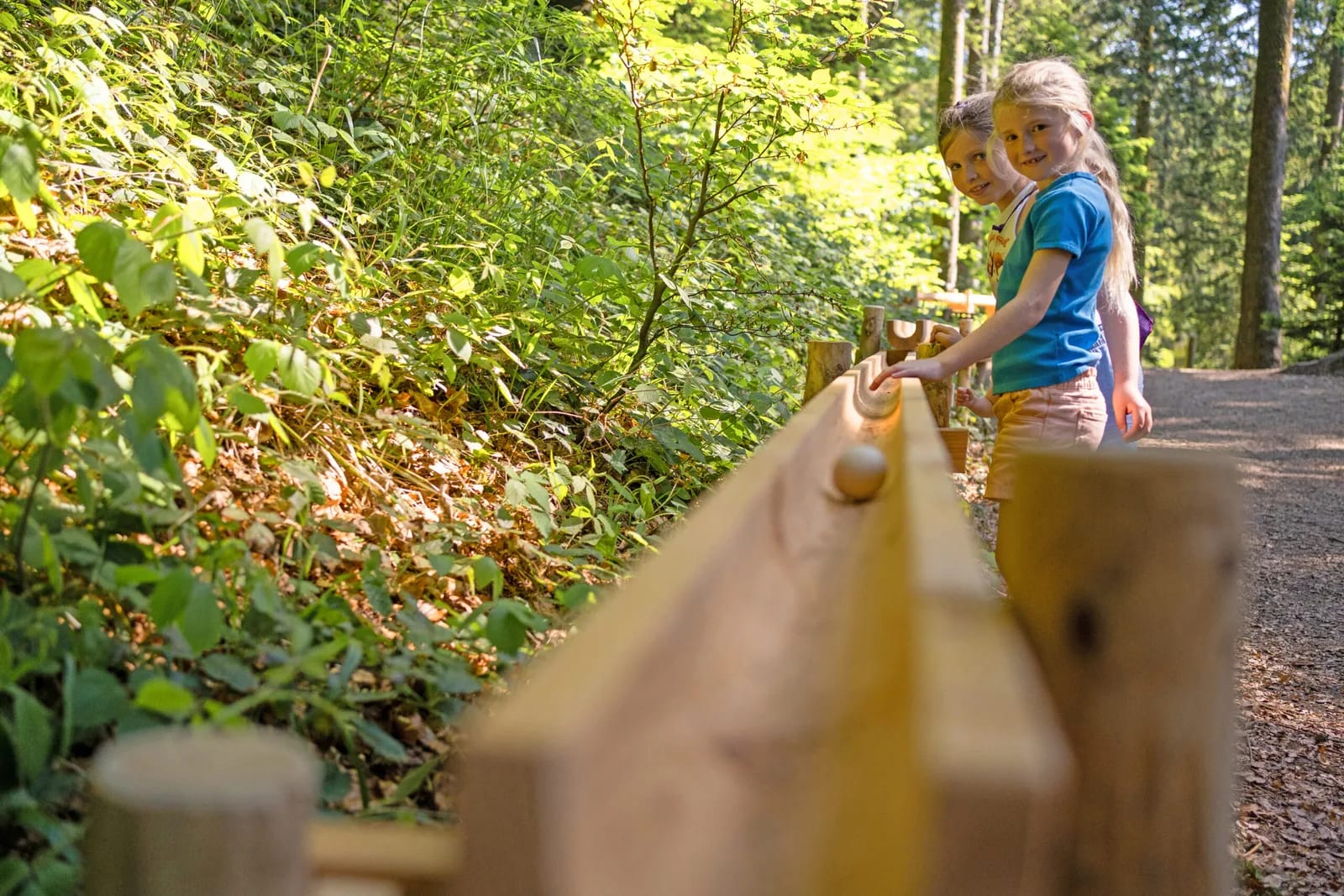 Suchergebnisbild AllActive Aktivität / Attraktion