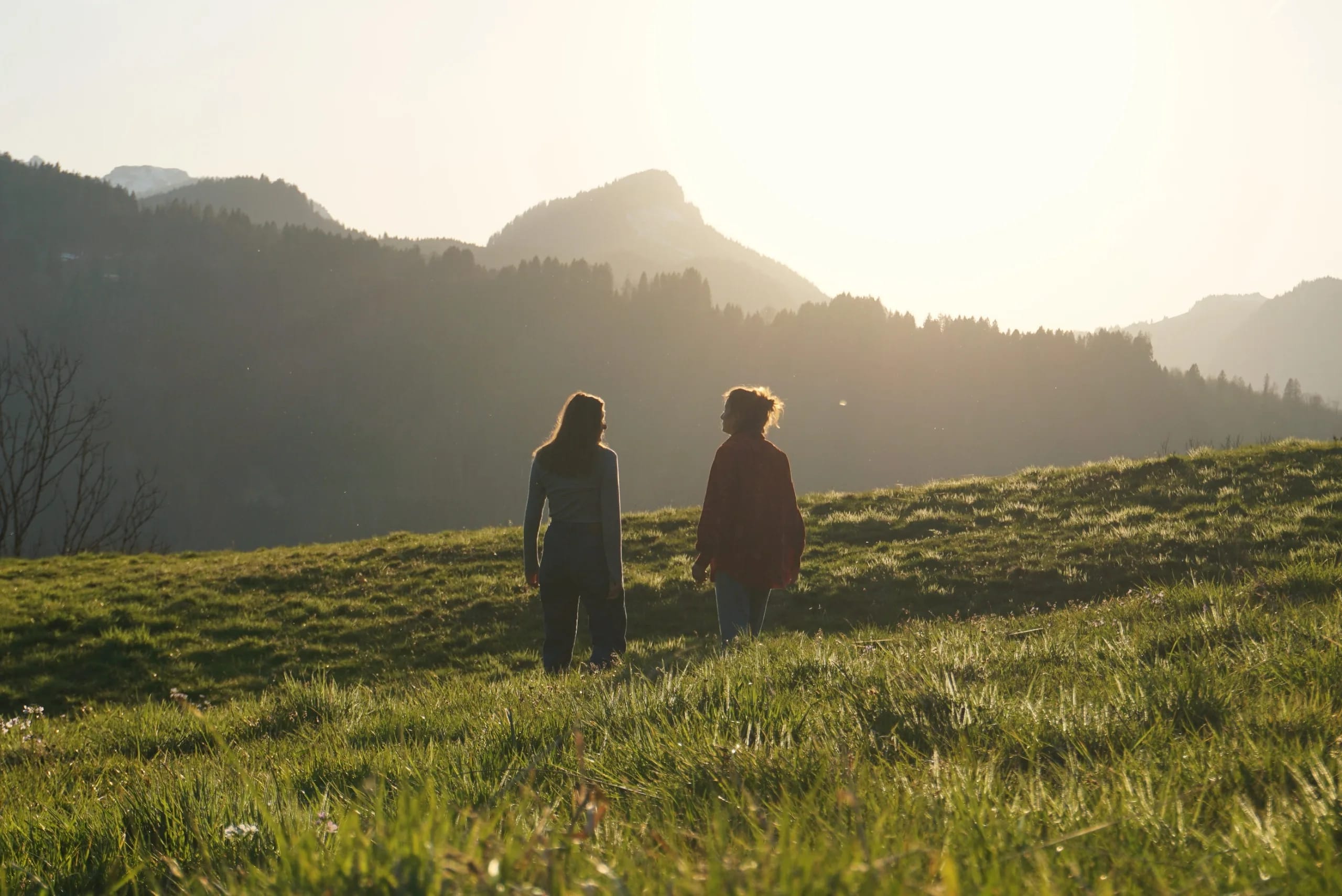 Suchergebnisbild AllActive Aktivität / Attraktion